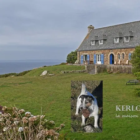 Kerloulou *